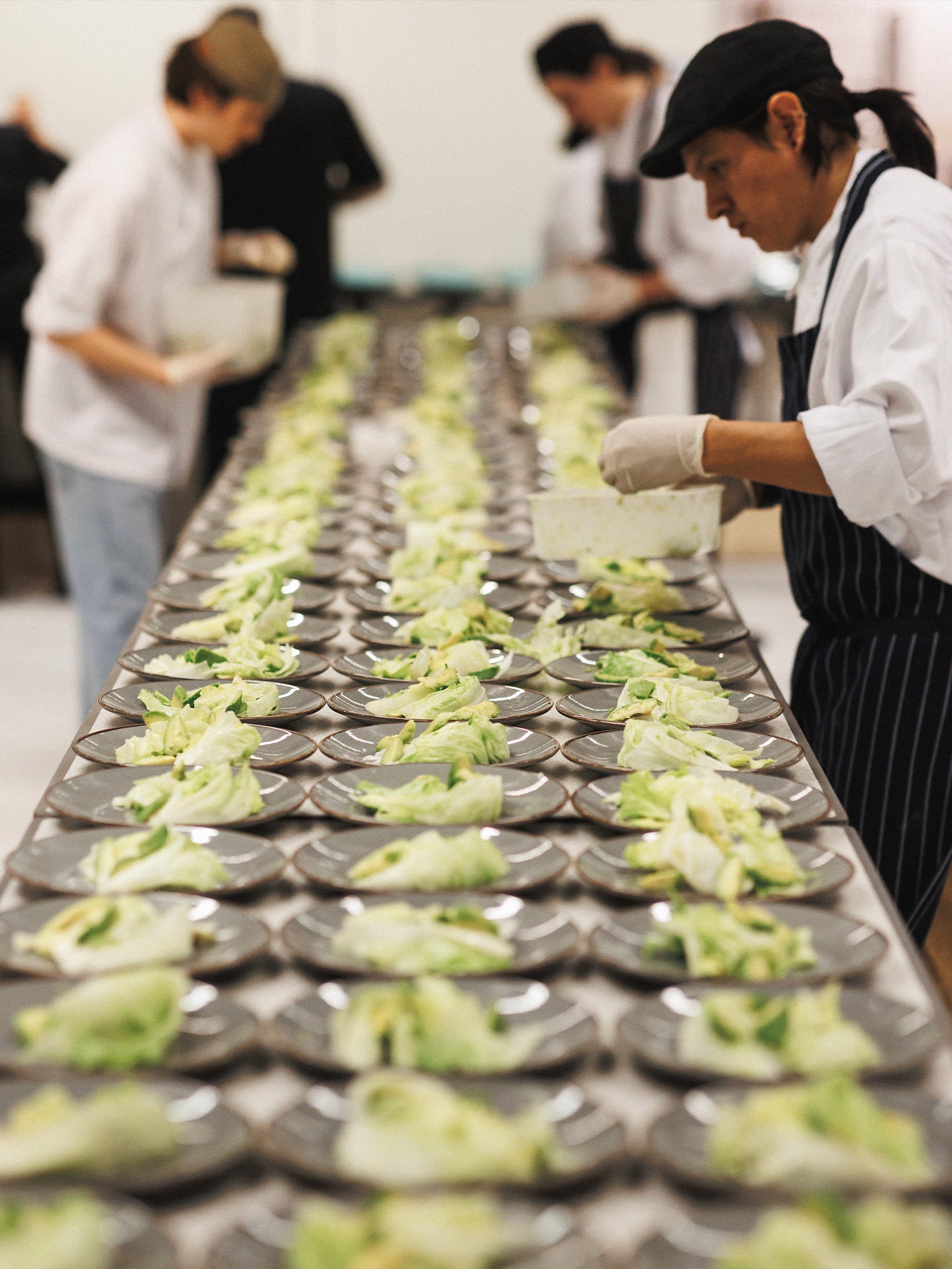 Rows of plated green salad, chefs finishing off the plates.