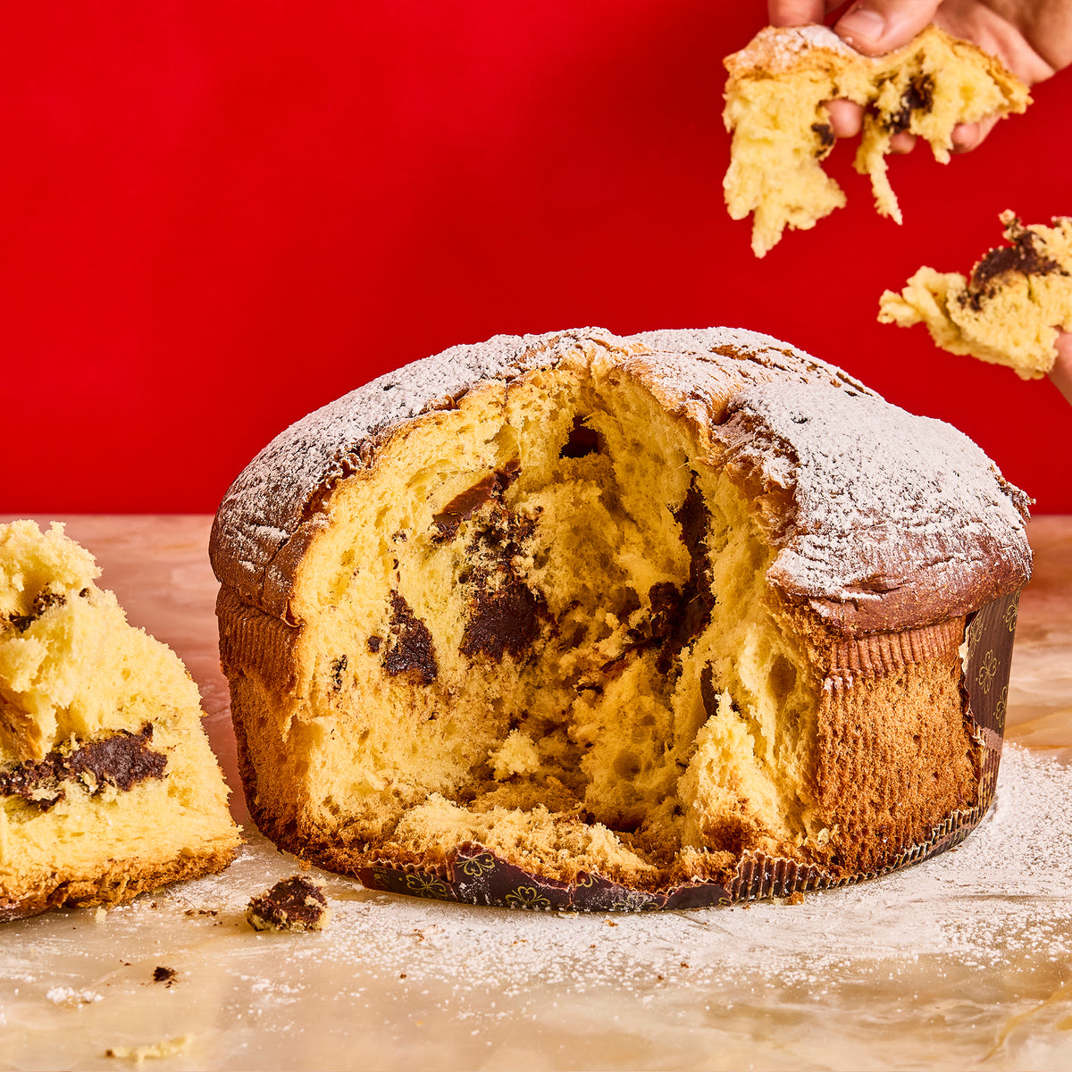 Chocolate panettone
